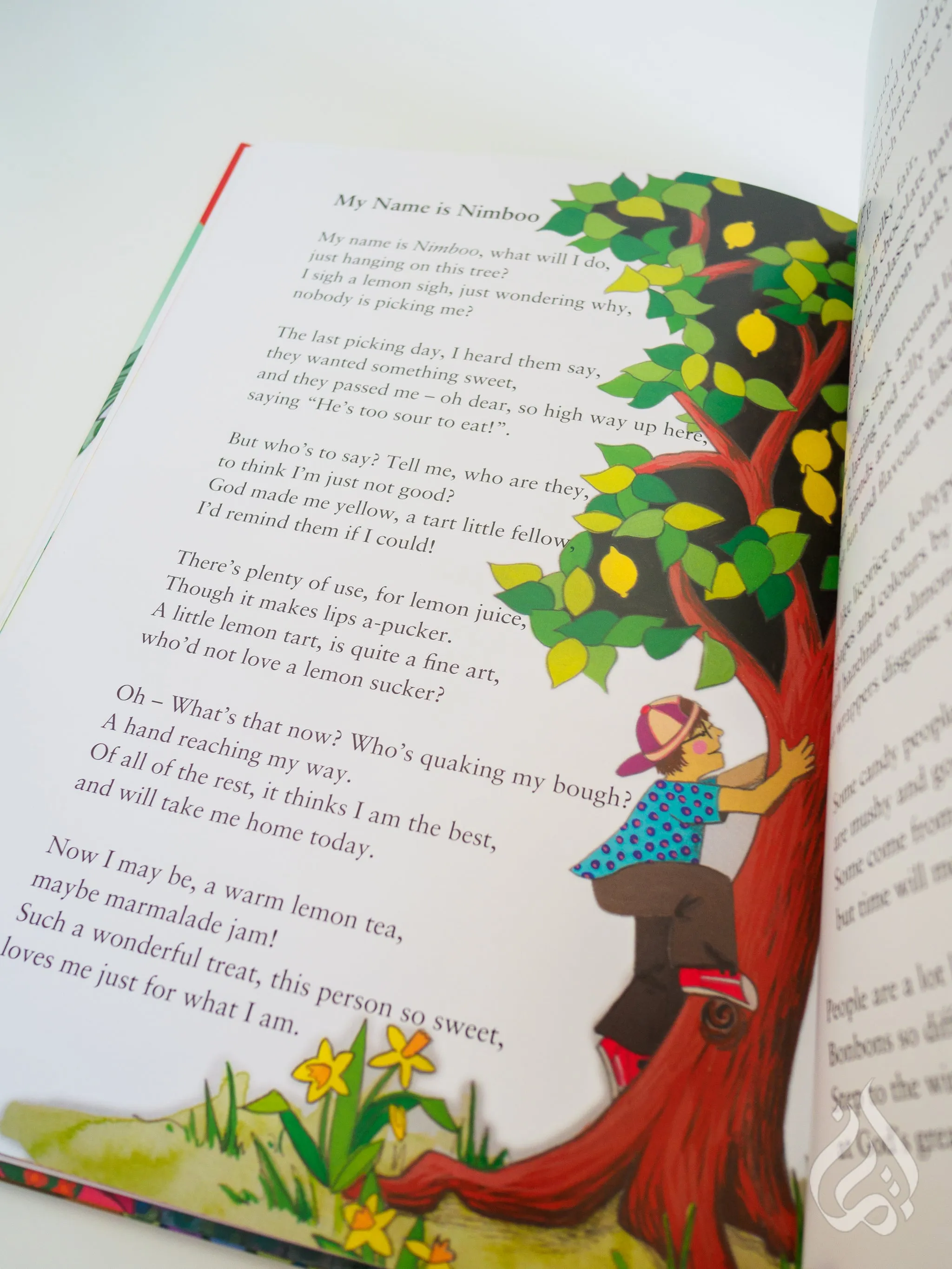 A Picnic of Poems - In Allah's Green Garden