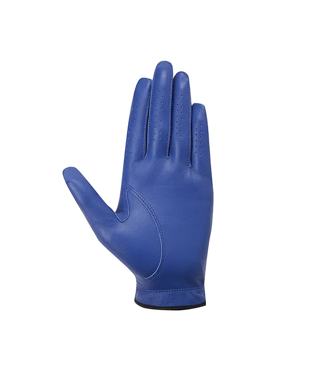 ANEW GOLF: Left hand soft grip gloves - Blue