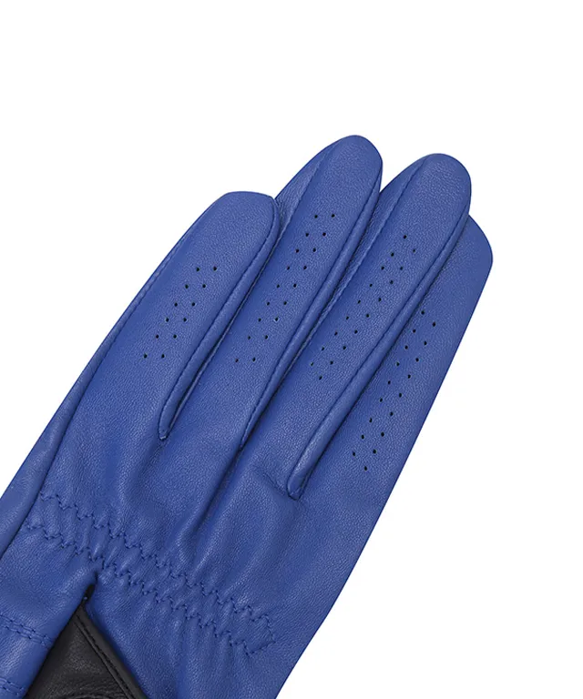 ANEW GOLF: Left hand soft grip gloves - Blue