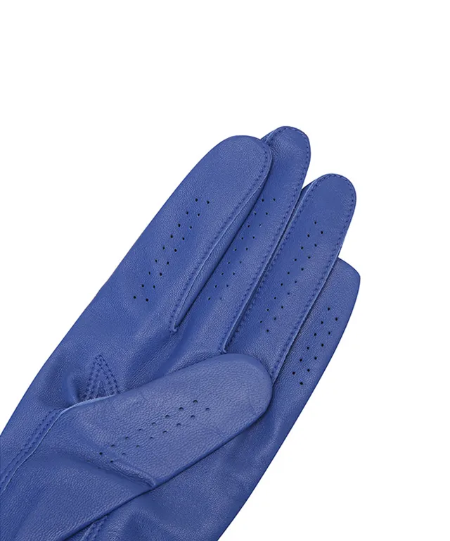 ANEW GOLF: Left hand soft grip gloves - Blue
