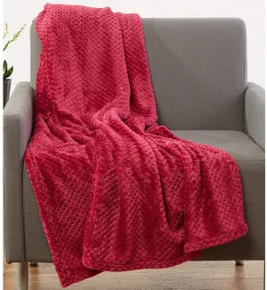 Brand new Luxury Lightweight Cozy Super Soft Popcorn Throw Blanket. Vibrant Colours and A Comfy Feel Makes This The for All. Home/Indoor/Outdoor. 76" x 86", Deep Red!