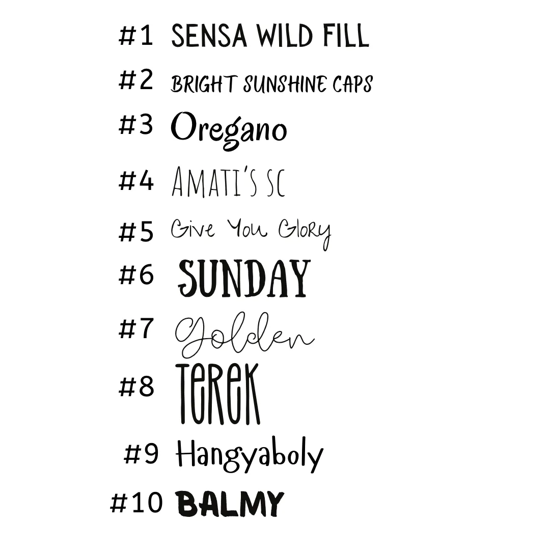 Checks Lunch Bag  (INCLUDE CUSTOM NAME & FONT OPTION IN NOTES AT CHECKOUT)