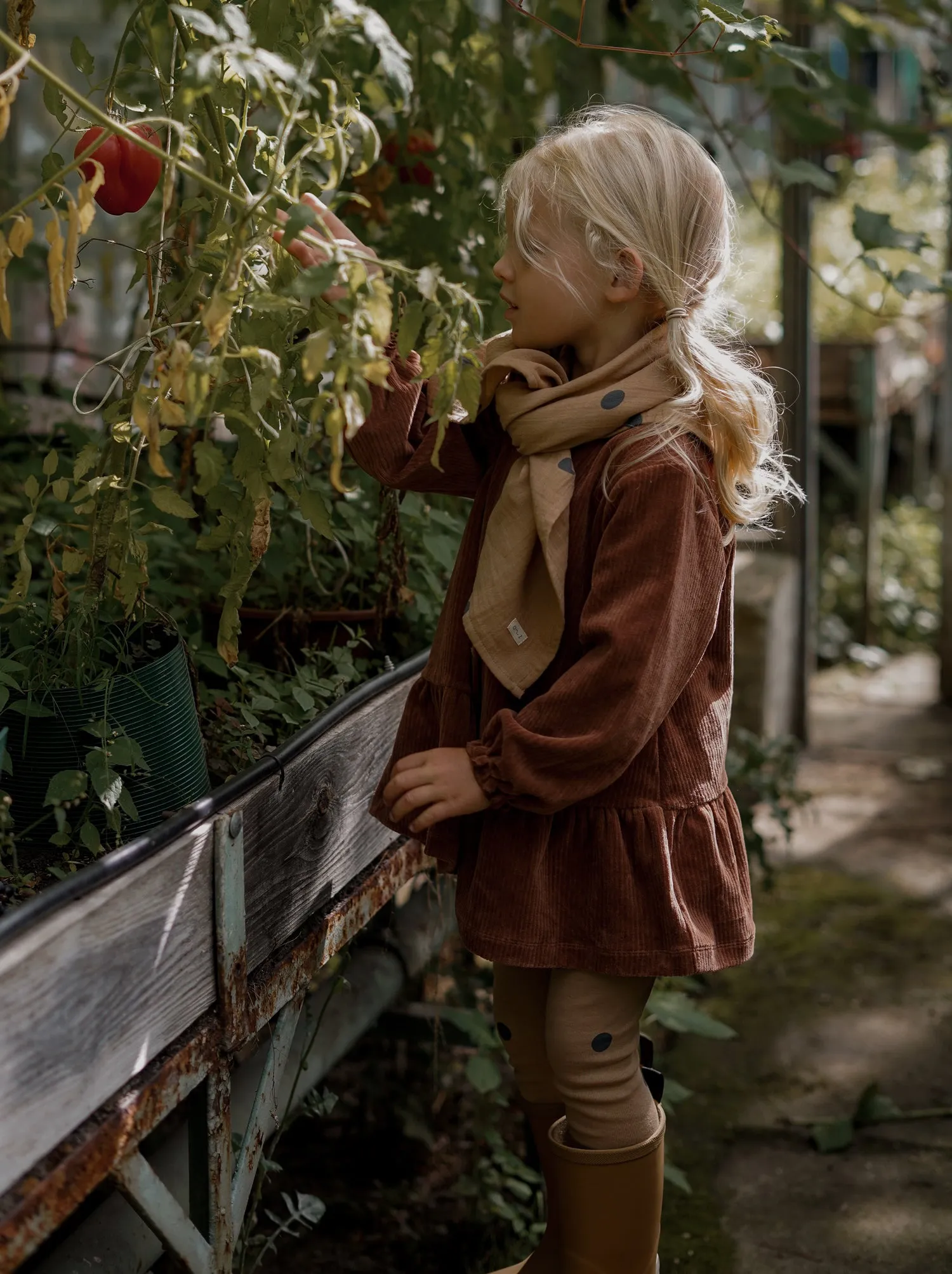 Cinnamon Picnic Dress