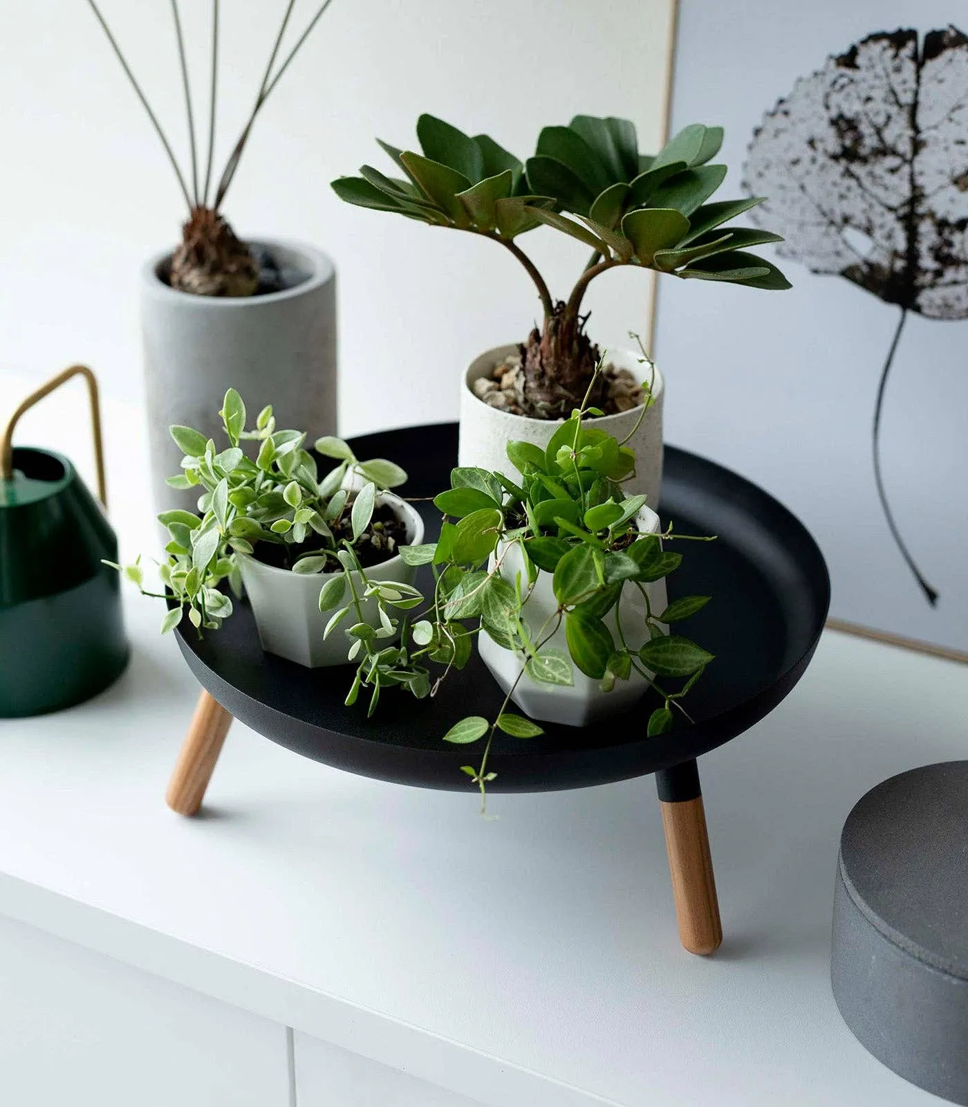Countertop Pedestal Tray - Steel   Wood: Black
