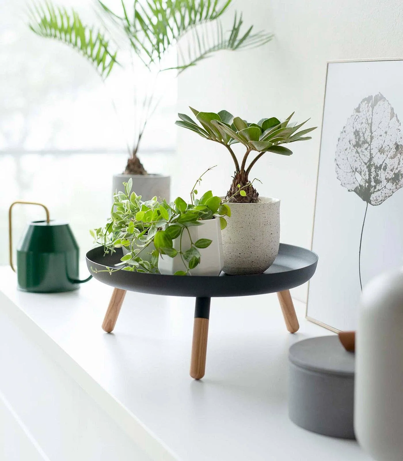 Countertop Pedestal Tray - Steel   Wood: Black