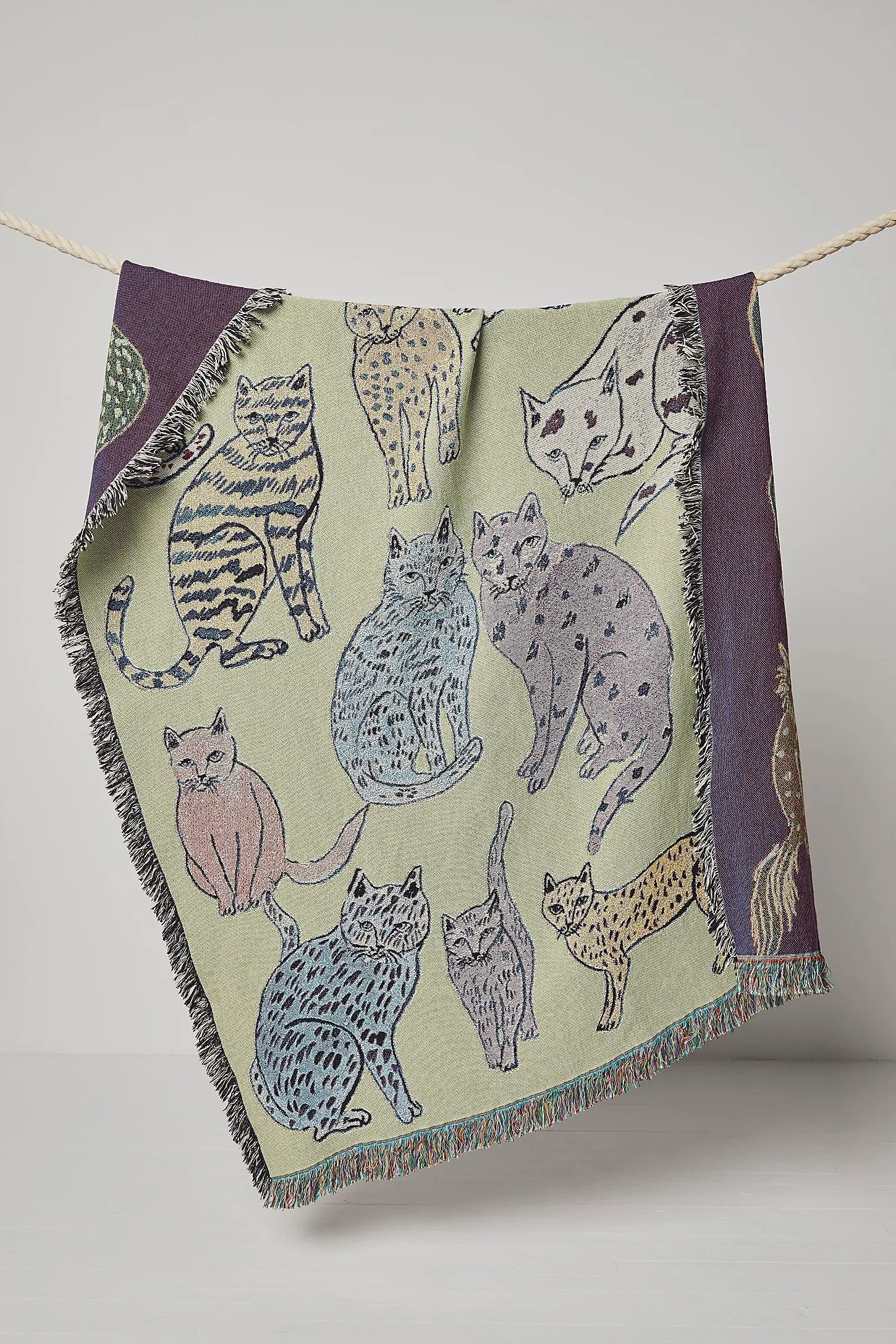 Curious Cats Blanket