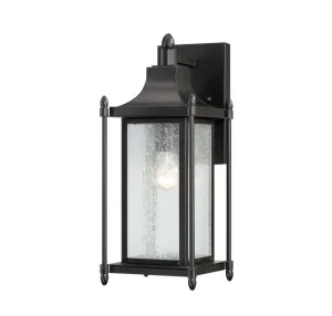 Dunnmore 1 Light Outdoor Wall Lantern- Black