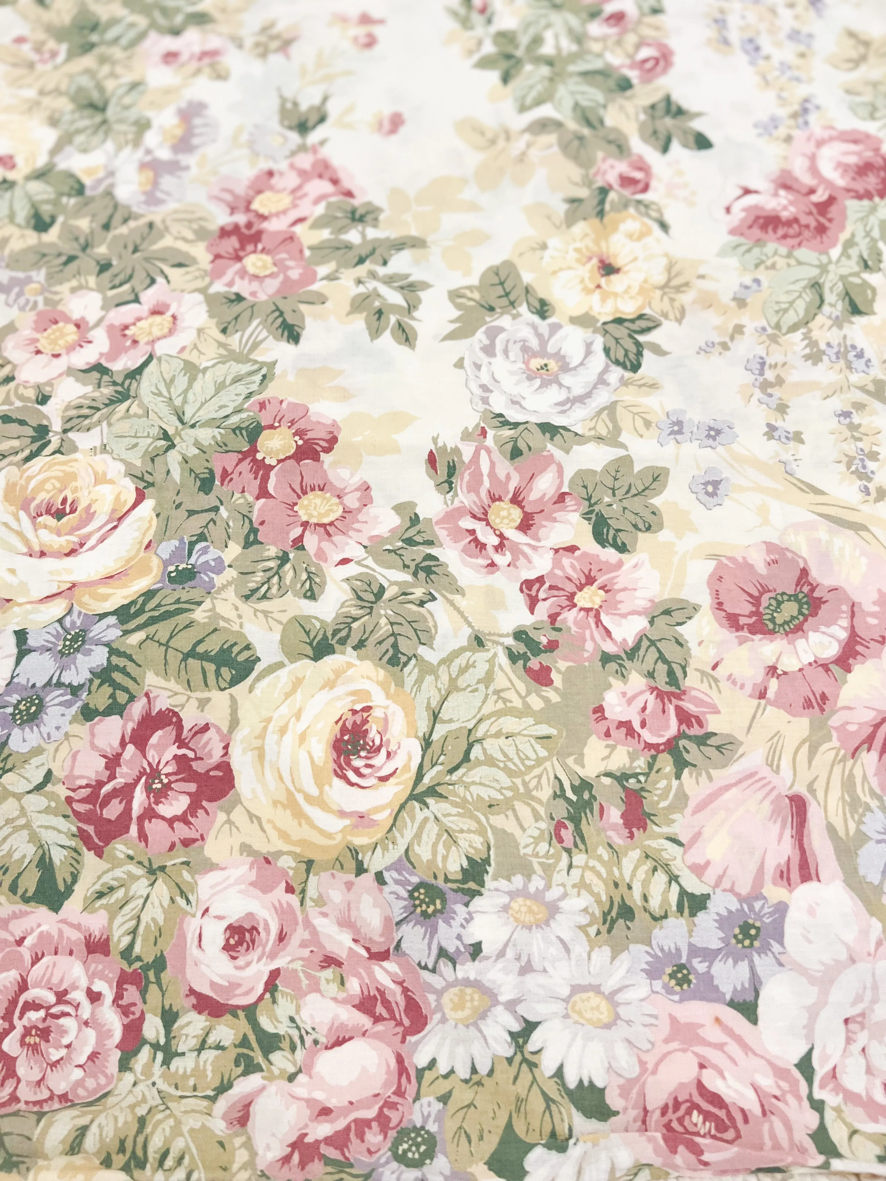 ENGLISH ROSE