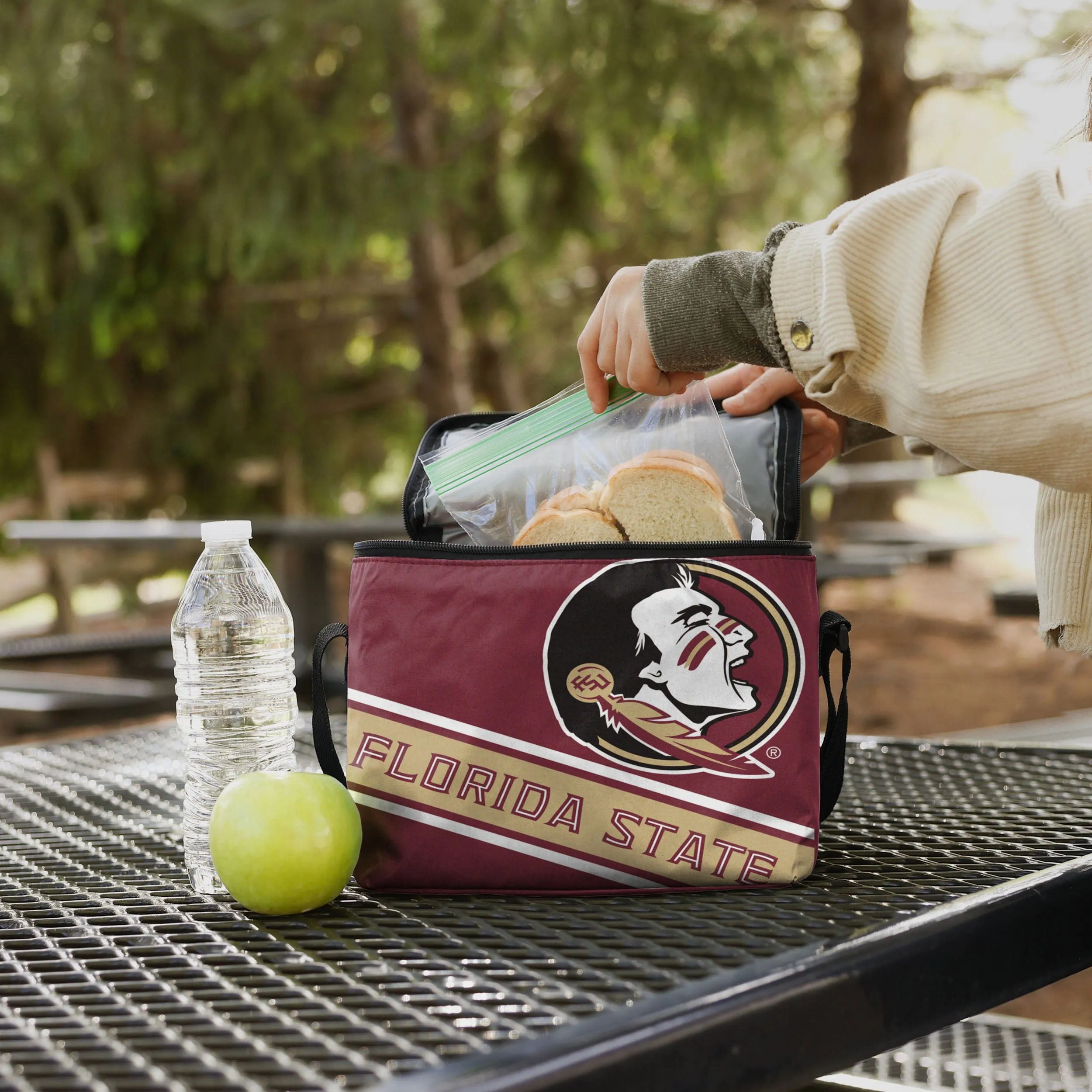 Florida State Seminoles Big Logo Stripe 6 Pack Cooler
