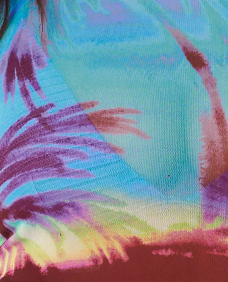 Hidden Isles Mesh Swim Dress / Tee