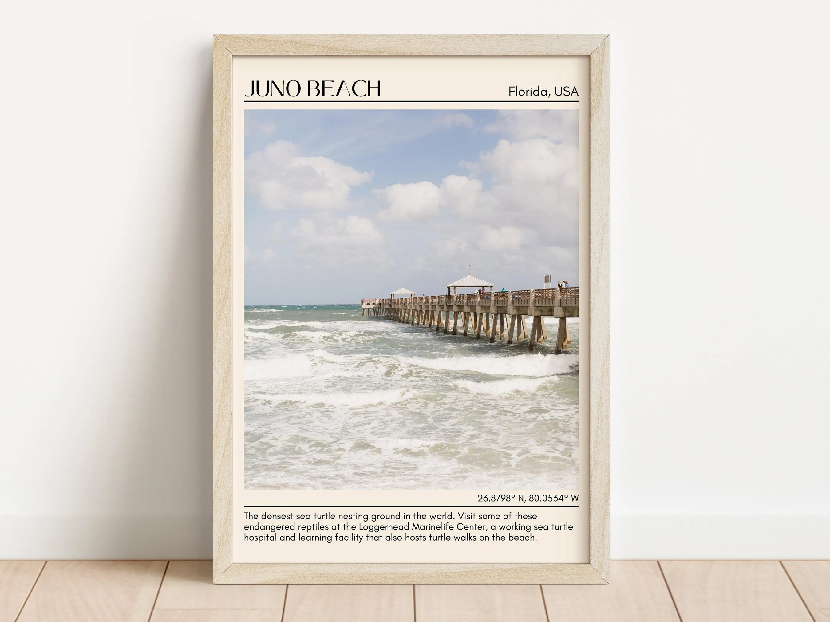 Juno Beach Wall Canvas, USA