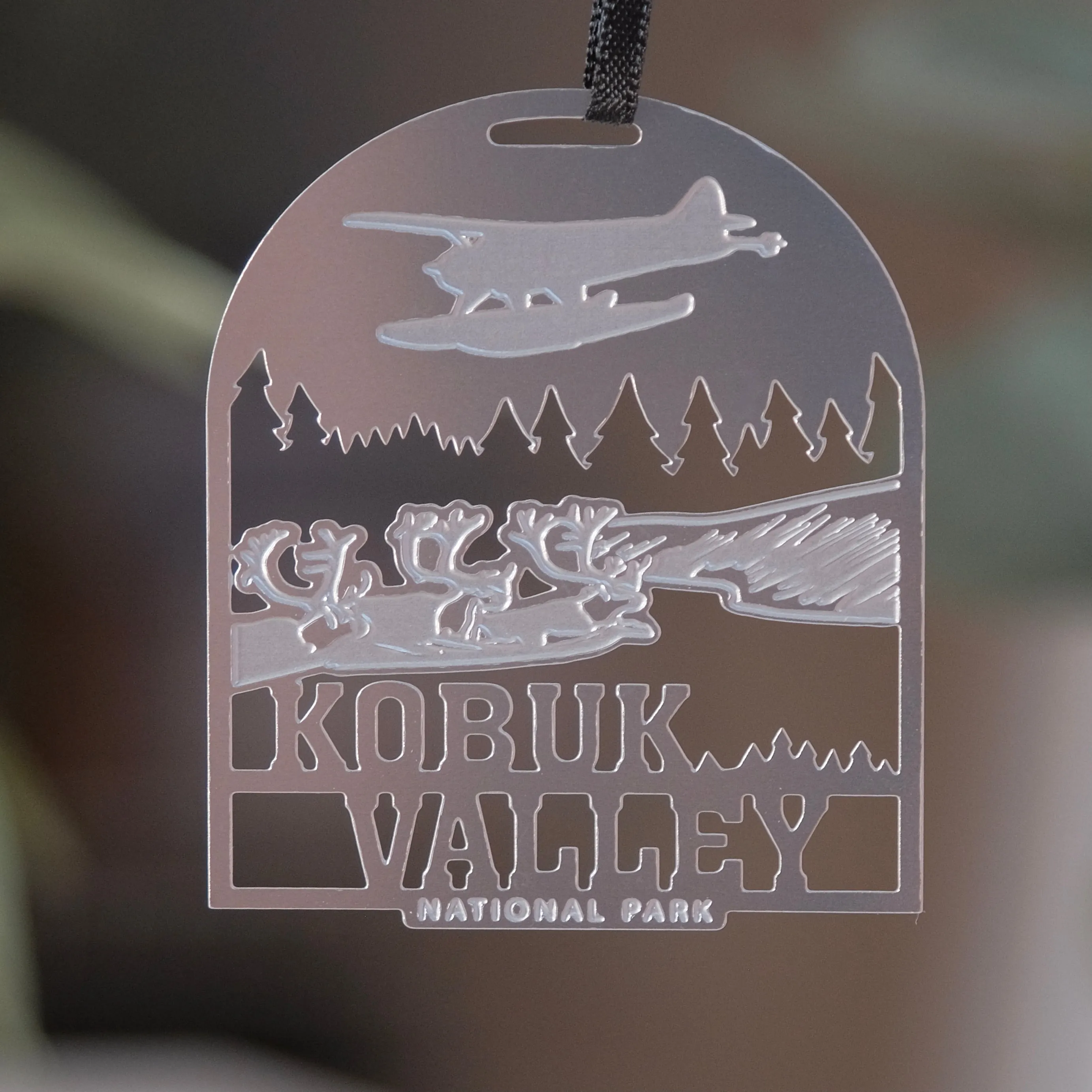 Kobuk Valley National Park