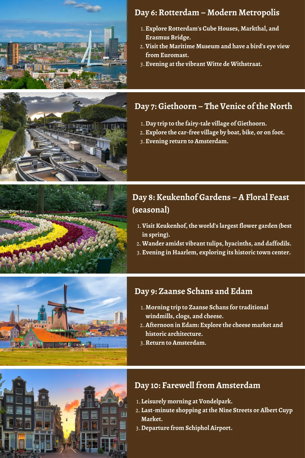 Netherlands - From Tulip Tapestries to Timeless Canals: A Comprehensive 10-Day Guide