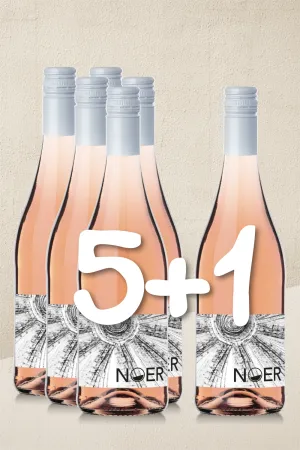NOER Rosabella 6er-Pack