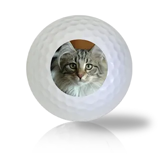 Norwegian Forest Cat Golf Balls