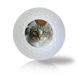 Norwegian Forest Cat Golf Balls