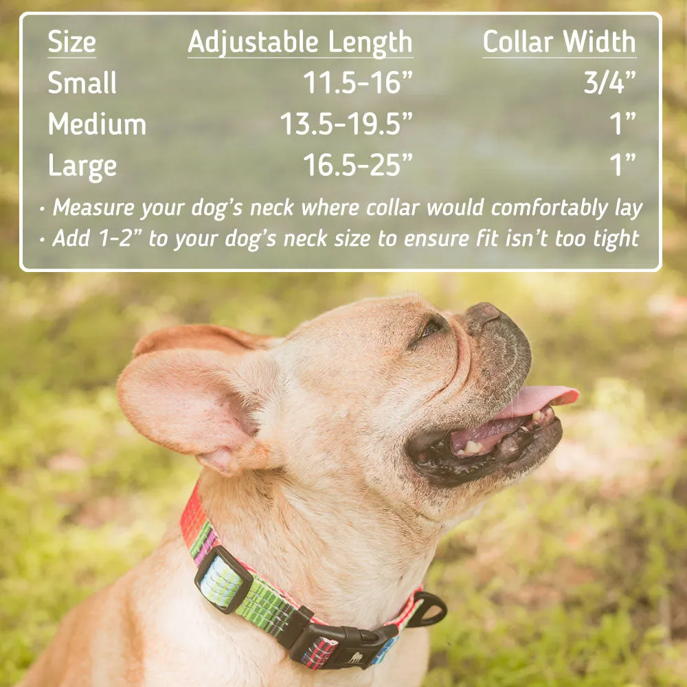 Patterned Reflective Dog Collar - Pattern Collection