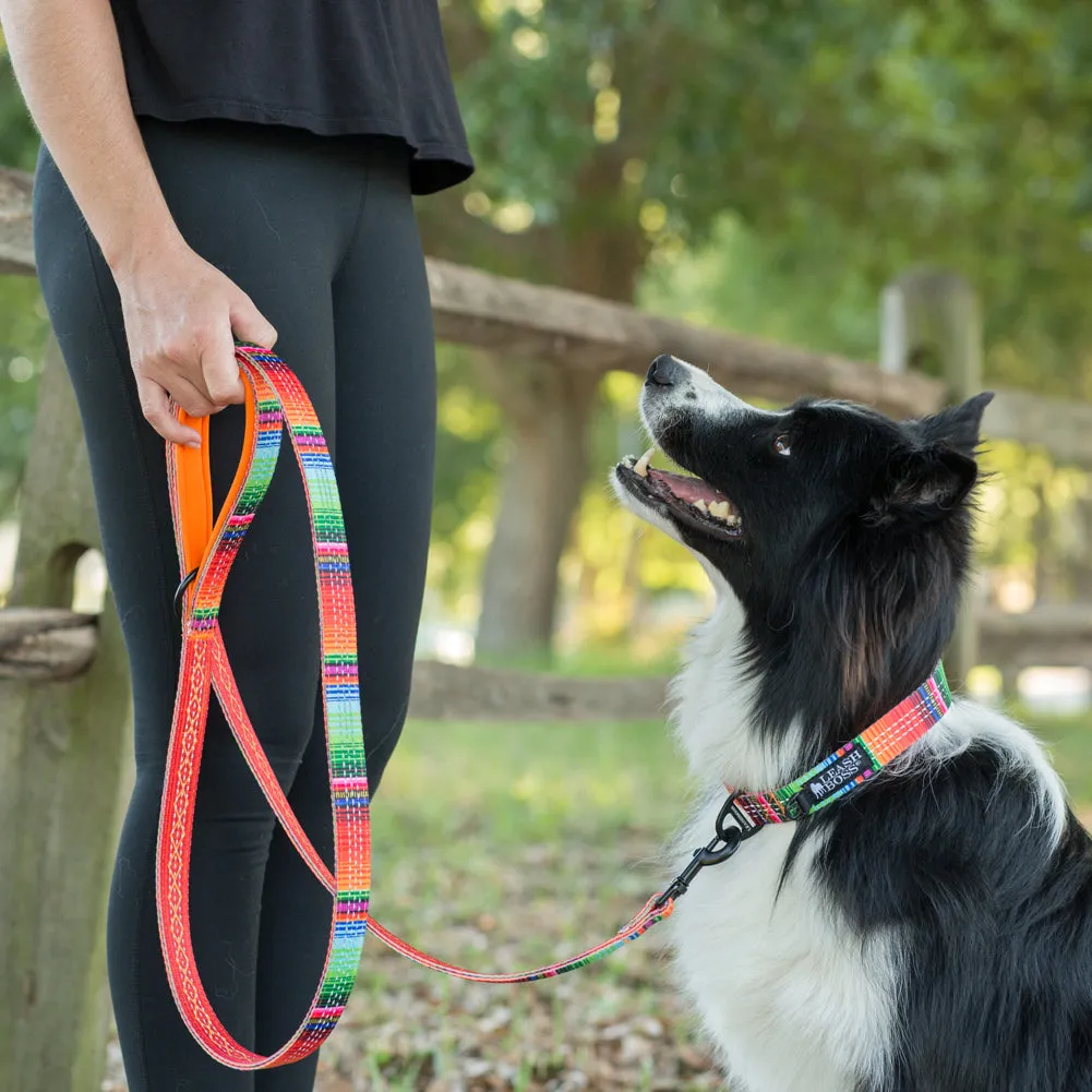 Patterned Reflective Dog Collar - Pattern Collection