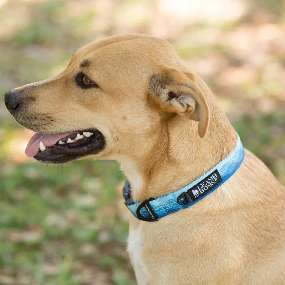 Patterned Reflective Dog Collar - Pattern Collection