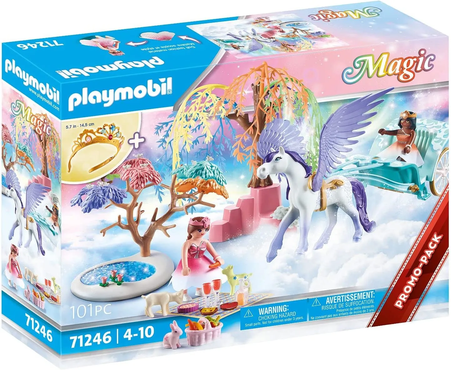 Picnic with Pegasus Carriage
