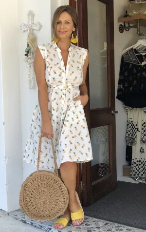 Pineapple Picnic Dress