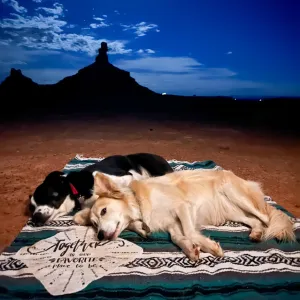 "Together" -Forest Green Throw - Falza Mexican Blanket