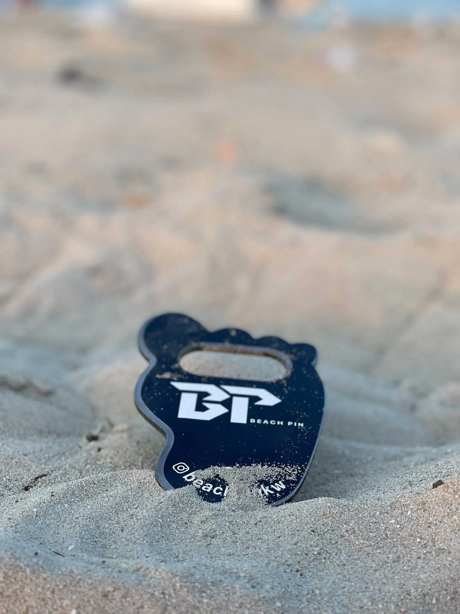 Stainless Steal Beach Pin & Anchor