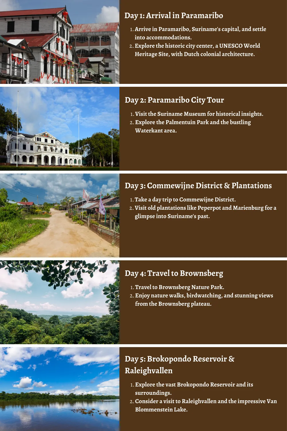 Suriname – Untamed Rainforests and Cultural Treasures: A Comprehensive 10-Day Guide