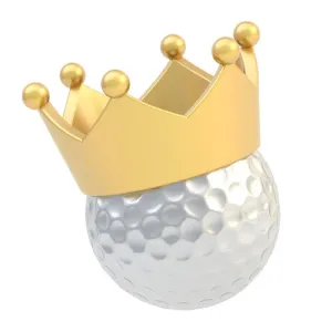 Title Sponsor (1 Available)