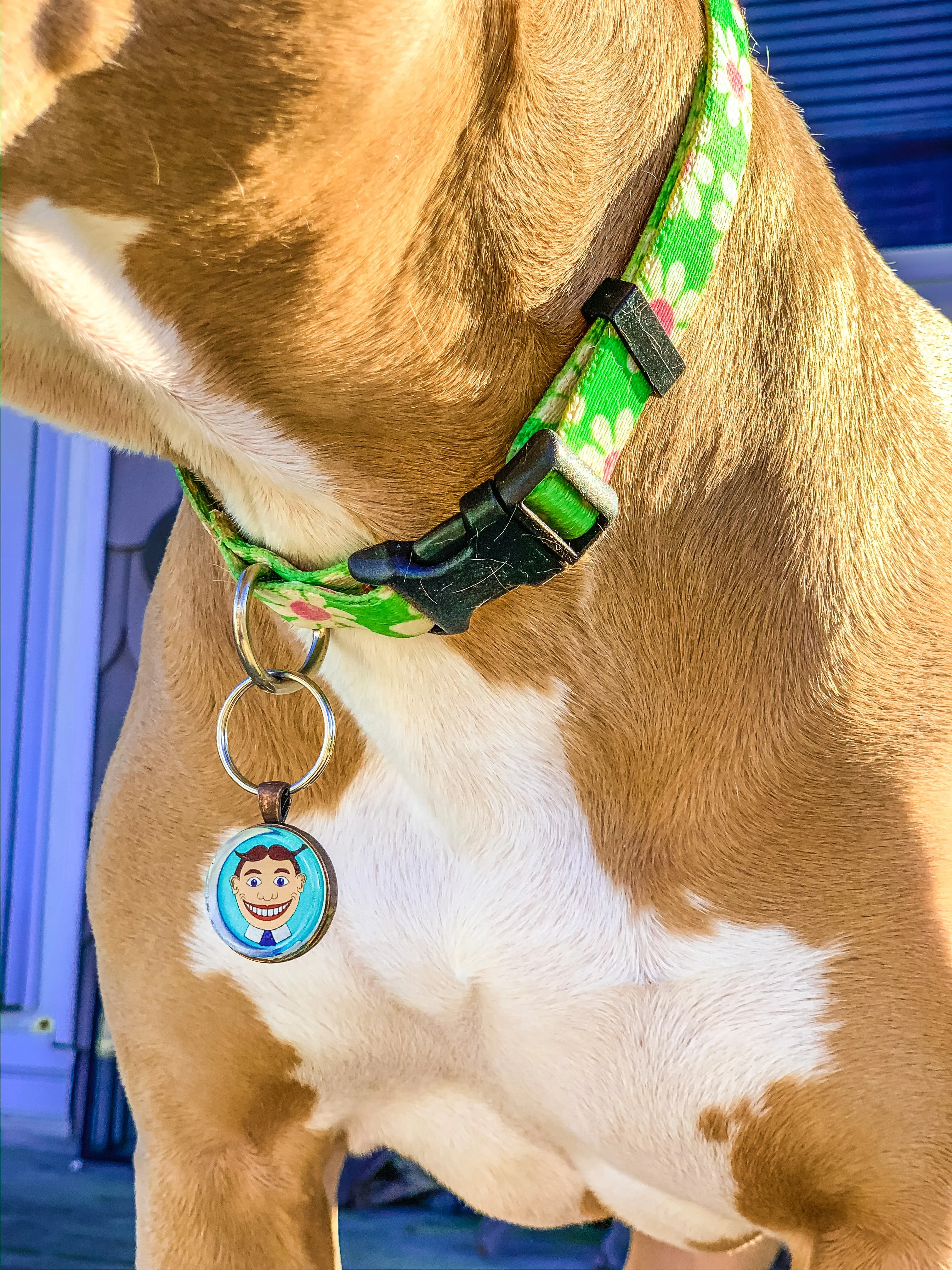 Token DOG TAG