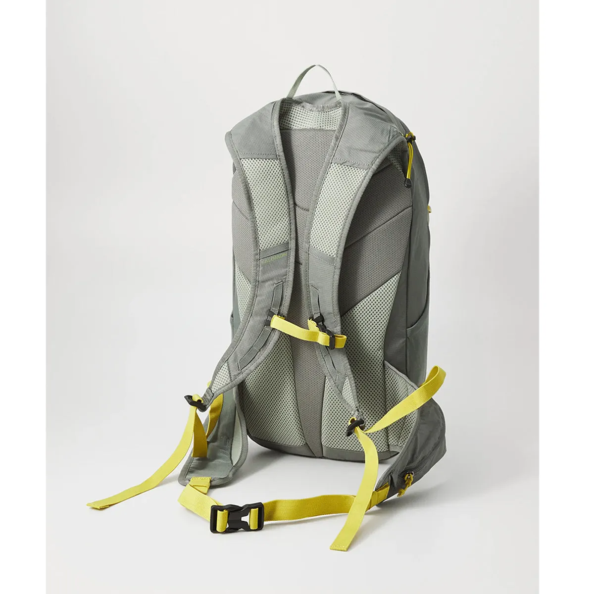 TrailBlazer 20 Backpack - Sedona Sage