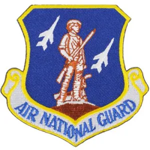 US Military USAF Air National Guard Patch