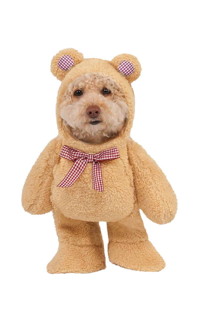 Walking Picnic Teddy Bear Dog Costume