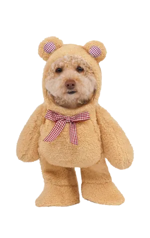 Walking Picnic Teddy Bear Dog Costume